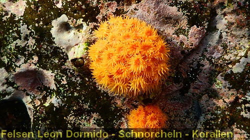 DSCN0182
