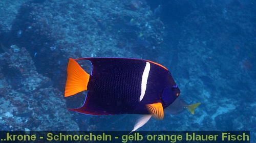 DSCN0441
