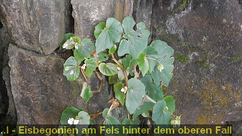 DSCN1706