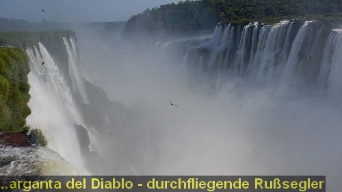 DSCN1745