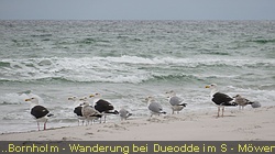 IMG_4897