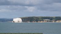IMG_8390