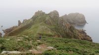 IMG_8780