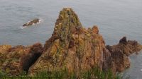 IMG_8790
