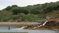 IMG_8908