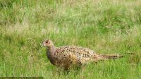 IMG_8980