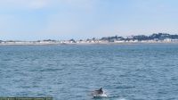 IMG_9005