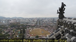 IMG_0916