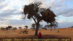 IMG-1548