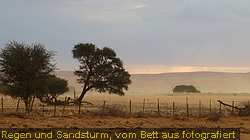 IMG_0900
