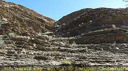 IMG_1376