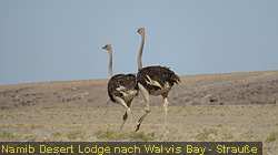 IMG_1390