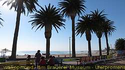 IMG_1537