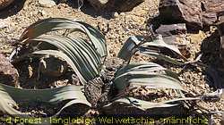 IMG_1918