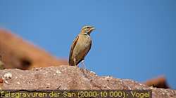 IMG_2045