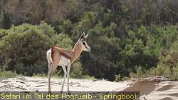 IMG-1732