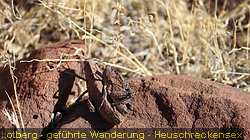 IMG-1794