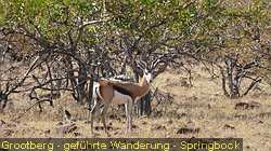 IMG_3376