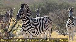 IMG-1838