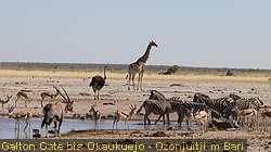 IMG-1866