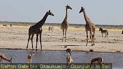 IMG-1872