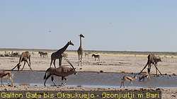 IMG-1879
