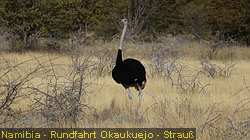 IMG-1907