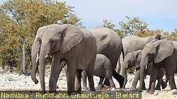 IMG-1936