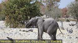 IMG-1940