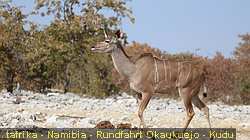 IMG-1941