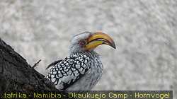 IMG_4270