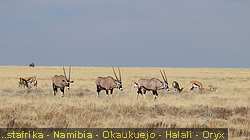 IMG-2031