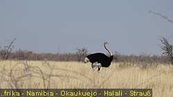 IMG-2035