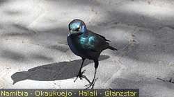 IMG-2048