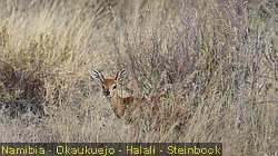 IMG-2063