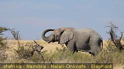 IMG-2088