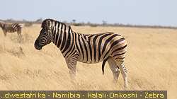 IMG-2097