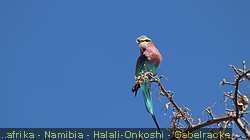 IMG-2124