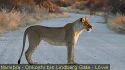 IMG-2141