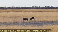 IMG-2159