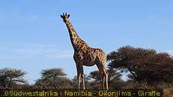 IMG-2274