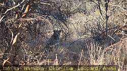 IMG-2173