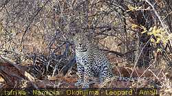 IMG-2221
