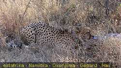 IMG-2325