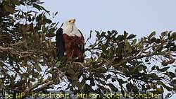 IMG-2714