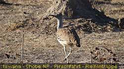 IMG-2732