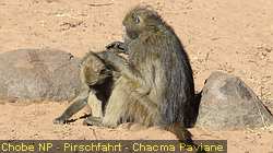 IMG-2787