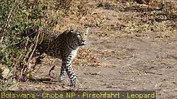 IMG-2791