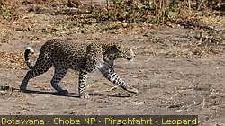 IMG-2793