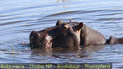 IMG-2845